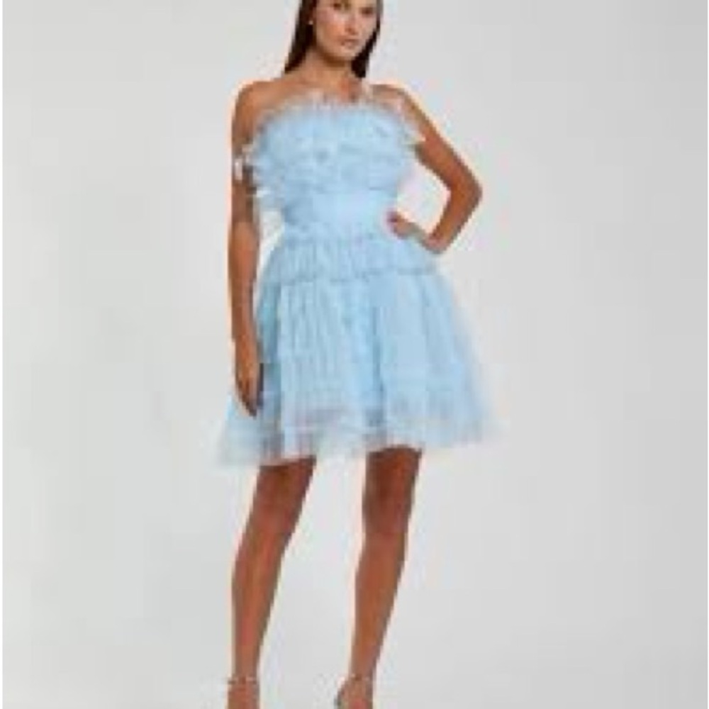 NWT: Blue Feathered Strapless Tulle Fit and Flare Dress -Style #20529 SZ 6
